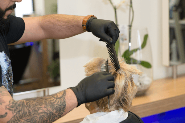 Haarfarbe